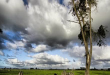 勒沃库森胜败兼顾，欧洲成绩担忧增加